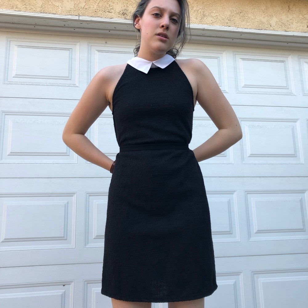 Zara Black Peter Pan Collar Dress